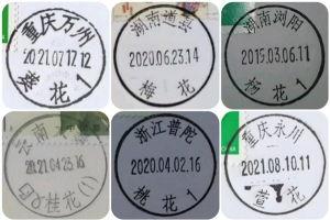 亚洲 久久久久久一二三区免费